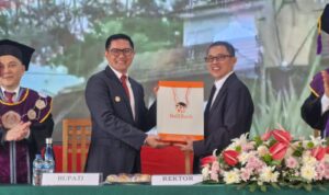 WhatsApp Image 2025-12-01 at 17.07.28