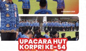 WhatsApp Image 2025-12-01 at 19.08.08